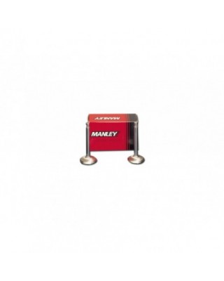 Severe Duty Exhaust Valve,...