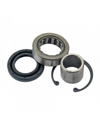HD Inner Primary Bearing Kit
