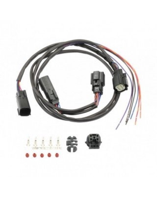 Complete Wiring...