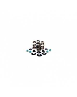 BEEHIVE VALVE SPRING KIT 630