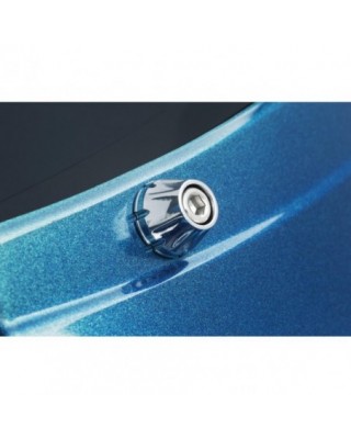 Decorative Windshield Screws