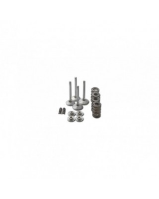 Race Master Valve Train...