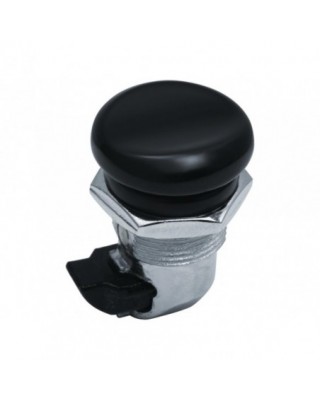 Fuel Door Latch Push Button