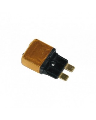 Replacement 20-Amp (Manual...