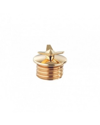 Screw In Spinner Gas Cap...