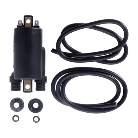 Rick's ignition coil