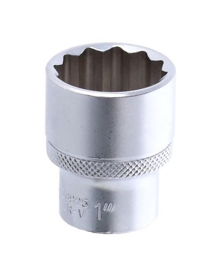 Sonic, Socket 1"