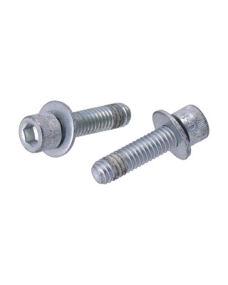 Bolt, transmission bearing housing 02-17(NU)Dyna 07-21 Softail 07-21 Touring