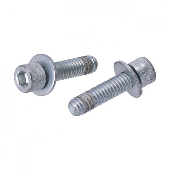 Bolt, transmission bearing housing 02-17(NU)Dyna 07-21 Softail 07-21 Touring