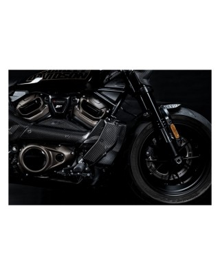 Zard, carbon radiator cover and side panel kit 21-23 Sportster S RH1250