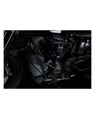 Zard, carbon radiator cover and side panel kit 21-23 Sportster S RH1250