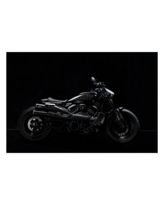 Zard, carbon radiator cover and side panel kit 21-23 Sportster S RH1250