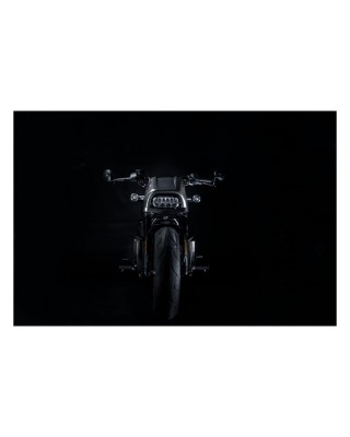 Zard, carbon headlamp fairing kit 21-23 Sportster S RH1250