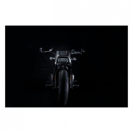 Zard, carbon headlamp fairing kit 21-23 Sportster S RH1250