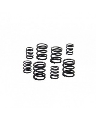 Valve Spring Kit Pan/Shovel