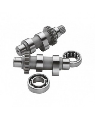 TW21 CAMSHAFT