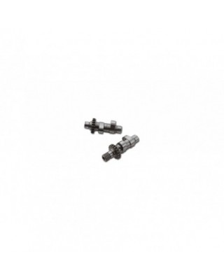 304-2 CAM