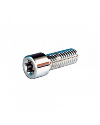 Torx Sockethead Screw Pack...