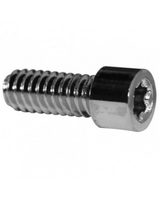 Smooth Sockethead Torx...