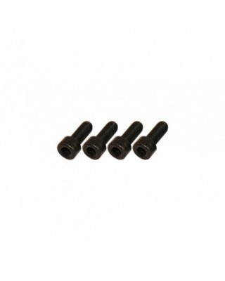 Fender Mounting Screws...