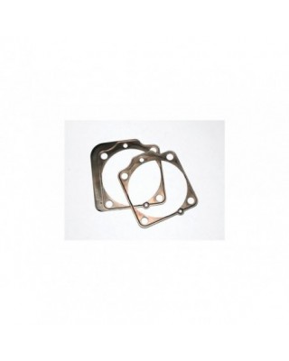 RCM Base Gaskets .020" 3 1/2"