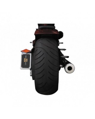 Vertical Taillight &...
