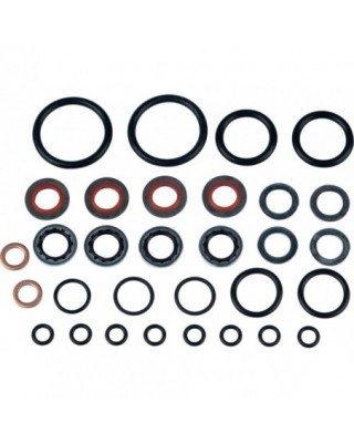 Gasket and Seal Kit, Fork...