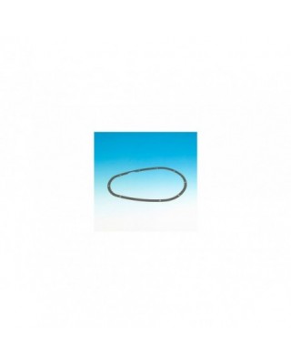 Primary Gaskets Pack 10