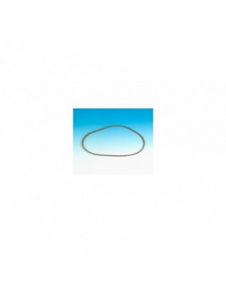 Primary Gaskets Pack 10