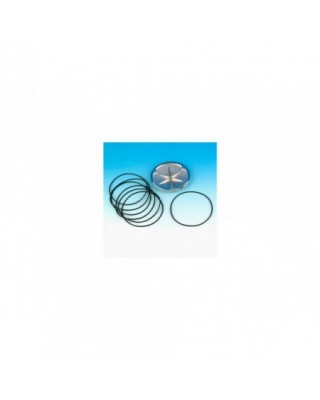 Pack de 10 joints toriques...
