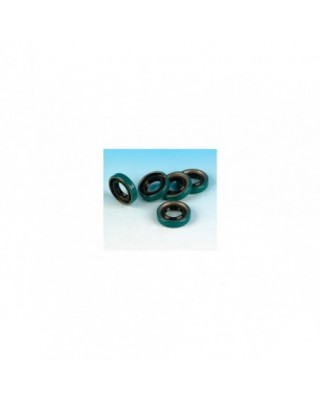 Inner Primary Chain Cover...