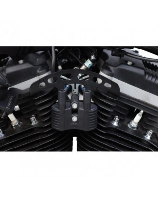 Coil and Key Switch...
