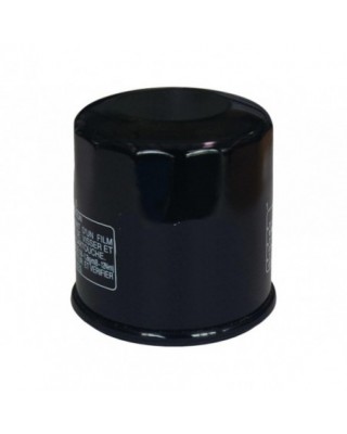 Oil Filter for Indian Black
