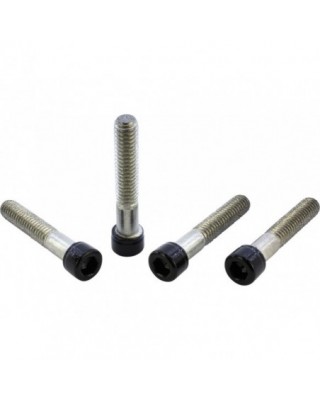 Fender Screw Kits Gloss...