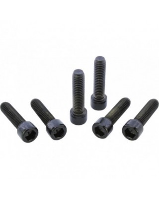 Sockethead Fork Clamp Screw...