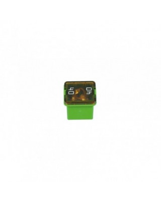 Replacement Fuse 40 Amp