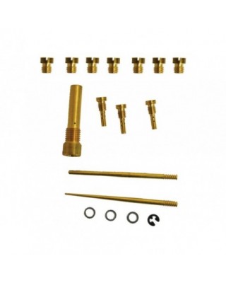 EZ Quick Carburetor Tuner Kit