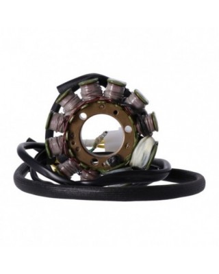 Stator de Rick, style OEM...