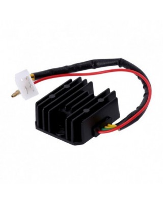 Rick's Hot Shot Lithium ion...
