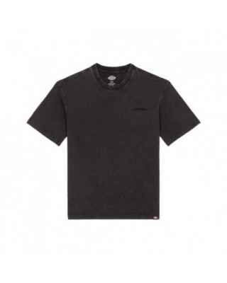 Camiseta Dickies Plentywood...