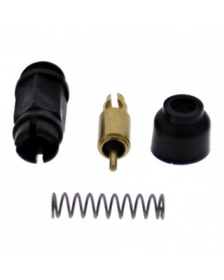 All Balls Choke-Plunger-Kit