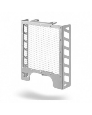 C-Racer, Kühlergrill. Silber