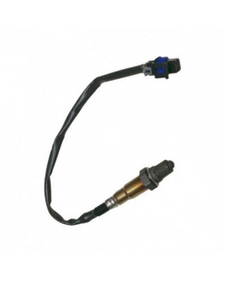 CVP, O2-Sensor Indian
