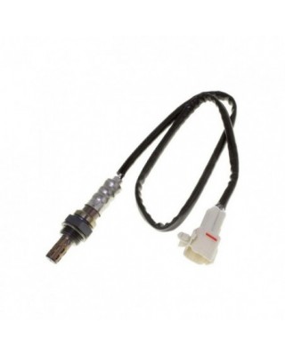 CVP, sensor de O2 Triumph...