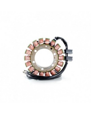 Stator de Rick, style OEM...