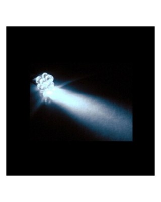 Custom Dynamics, 194 LED Bulb - white light