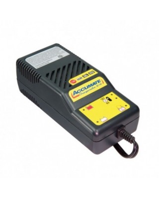 Cargador de batería Tecmate...