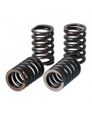 TRW clutch spring kit