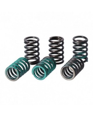 TRW clutch spring kit