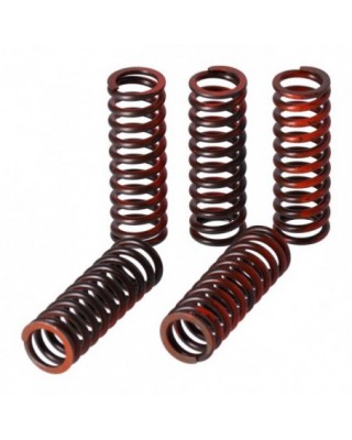 TRW clutch spring kit